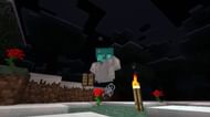 Invisibility (Image credits: The Daily Miner)